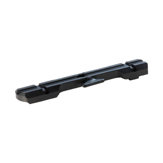 Dentler Grundschiene BASIS