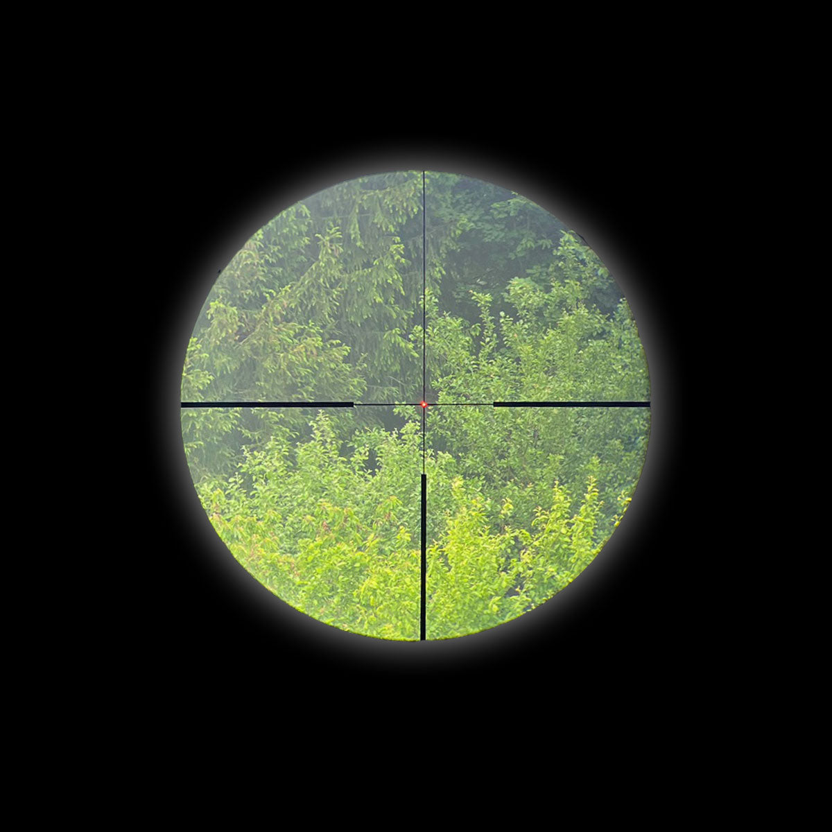 Staffelsee 1,5-9x42 LD V2 Leuchtfaser-Absehen 4