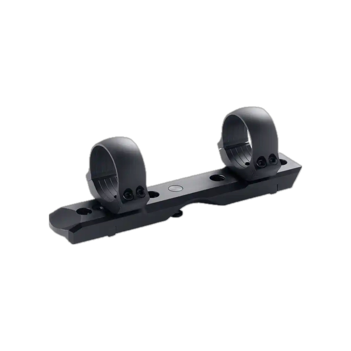 Dentler Montageschiene BASIS mit Ringe "Stahl"